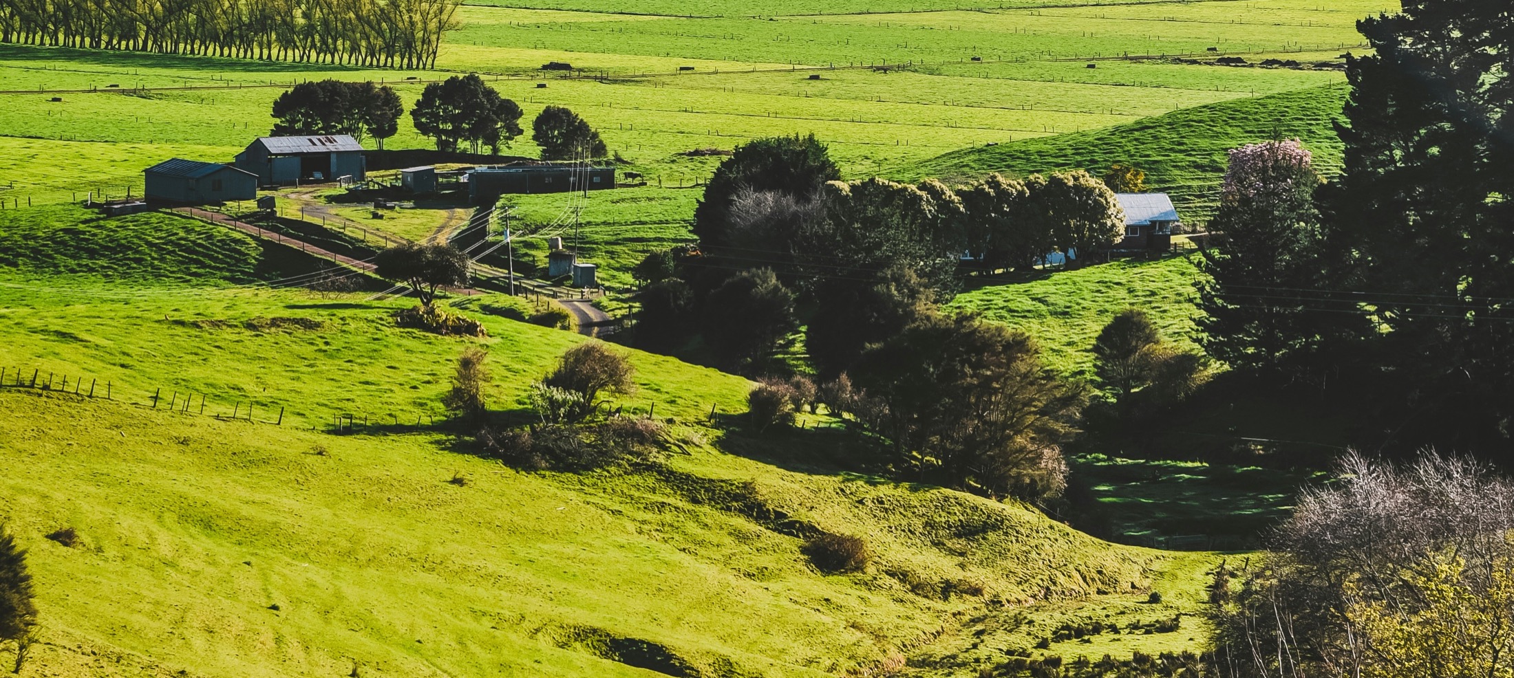 Paisaje campestre con terreno verde y espacios abiertos